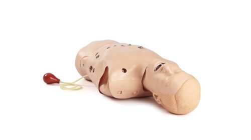 Entrenador de tareas de 12 derivaciones