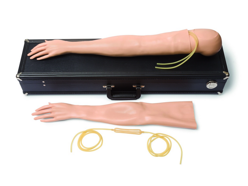 Kit de brazo de entrenamiento intravenoso multi-venoso femenino