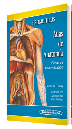 Libro Impreso-Prometheus. Atlas de Anatomía. Fichas de autoevaluación