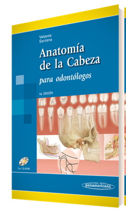 Anatomía de la Cabeza Para odontólogos