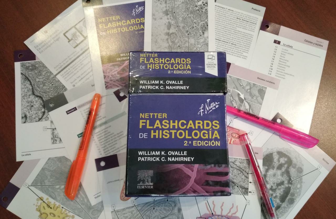 Netter Flashcards De Histolog A Ed Mi Universo