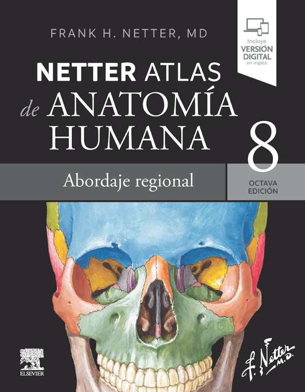 Libro Impreso-Netter. Atlas de anatomía humana. Abordaje regional.