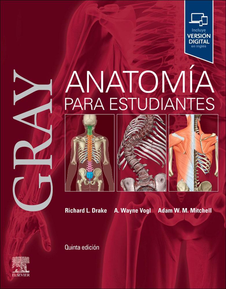 Anatomia de Gray Para Estudiantes 5e (Libro Impreso entregado a partir del 30 de Junio)