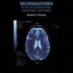 Laleo 9788415169031 Neuroanatomia Atlas De Estructuras Secciones Y Sistemas