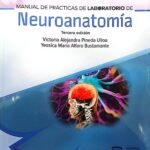 WhatsApp Image 2026 01 12 At 11.51.18 AM