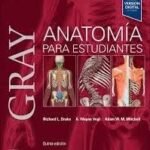 Gray's Anatomy for Students, 5th Edition textbook cover. Anatomical illustrations.